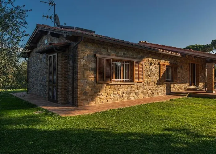 Bolgheri Vermentino Castagneto Carducci Donoratico