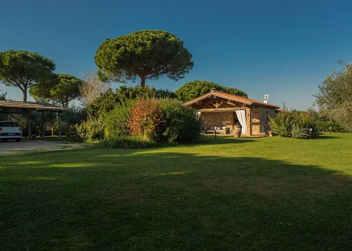 Bolgheri Vermentino Castagneto Carducci Donoratico