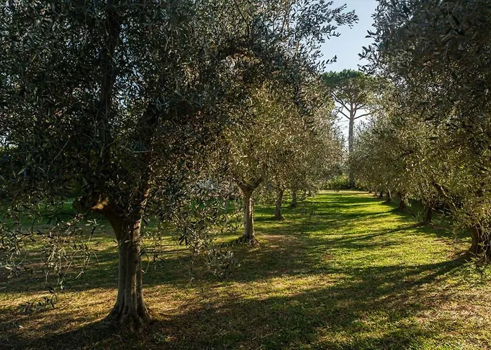 Bolgheri Vermentino Castagneto Carducci Villa