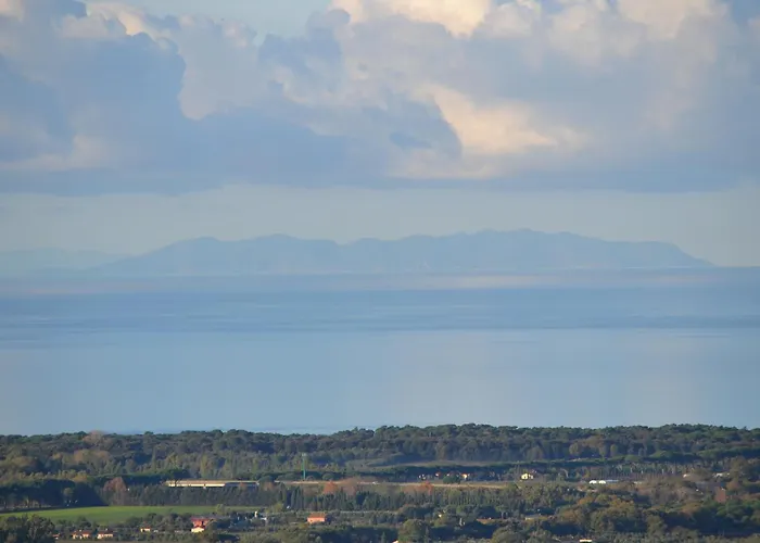 Bolgheri Vermentino Castagneto Carducci Donoratico